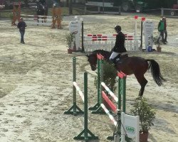 jumper Caleo W.Z (Holsteiner, 2008)