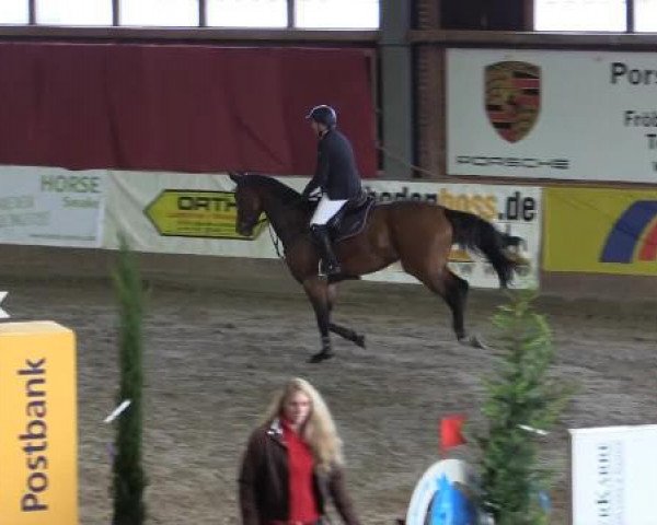 jumper Bibi Blocksberg 10 (KWPN (Royal Dutch Sporthorse), 2006, from Sarantos)