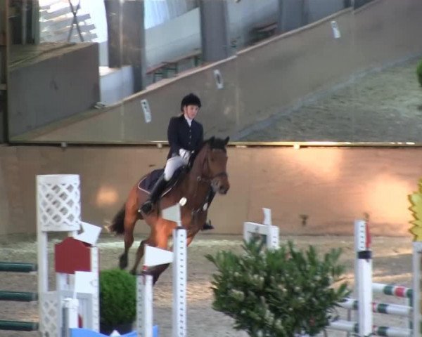 dressage horse Louis 279 (Rhinelander, 2007, from Lauterbach)