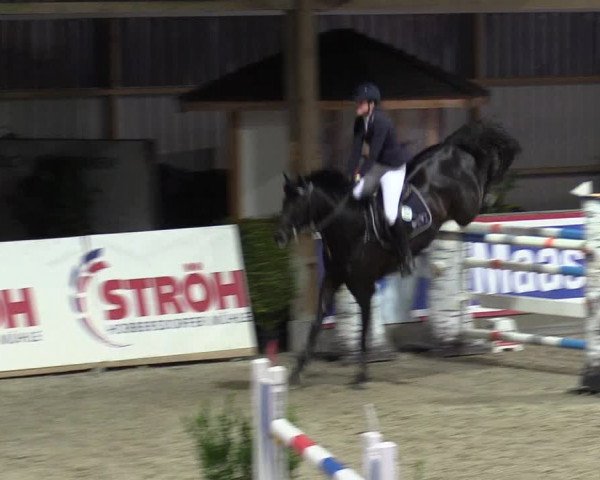 Reitturnier Negernbötel 2020, 3. Nordic Jumping event 2020/2021
