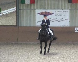 broodmare Daya Kala (Hanoverian, 2007, from Don Frederico)