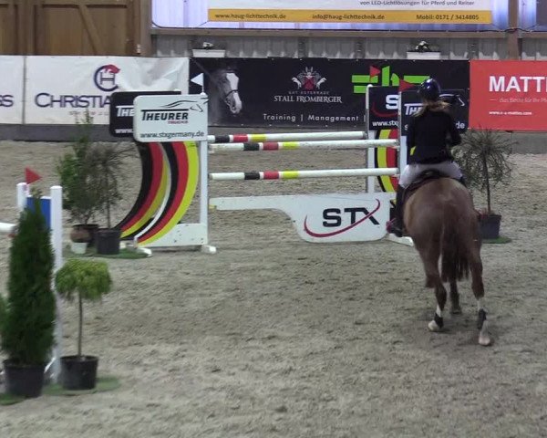 Reitturnier Negernbötel 2020, 3. Nordic Jumping event 2020/2021