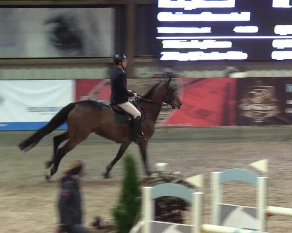 Reitturnier Negernbötel 2020, 3. Nordic Jumping event 2020/2021