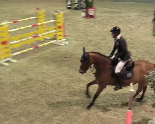 Reitturnier Negernbötel 2020, 3. Nordic Jumping event 2020/2021