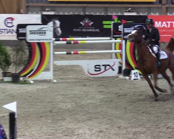 Reitturnier Negernbötel 2020, 3. Nordic Jumping event 2020/2021