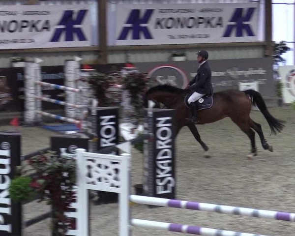 Reitturnier Negernbötel 2020, 3. Nordic Jumping event 2020/2021