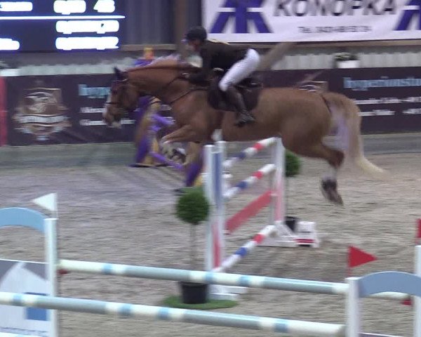 Reitturnier Negernbötel 2020, 3. Nordic Jumping event 2020/2021