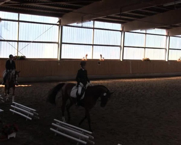 dressage horse Emadour (KWPN (Royal Dutch Sporthorse), 2009, from For Romadour)