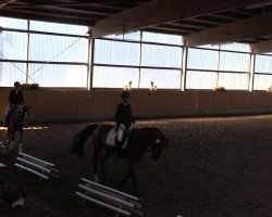 dressage horse Emadour (KWPN (Royal Dutch Sporthorse), 2009, from For Romadour)