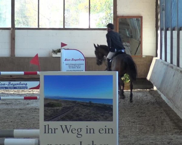 Reitturnier Langenfeld - Gut Langfort 2020