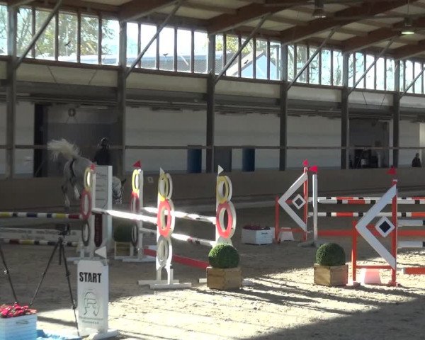 Reitturnier Langenfeld - Gut Langfort 2020