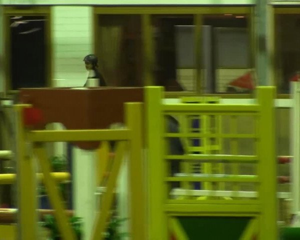 Springpferd Martha 30 (Oldenburger, 2005, von Sir Donnerhall I)