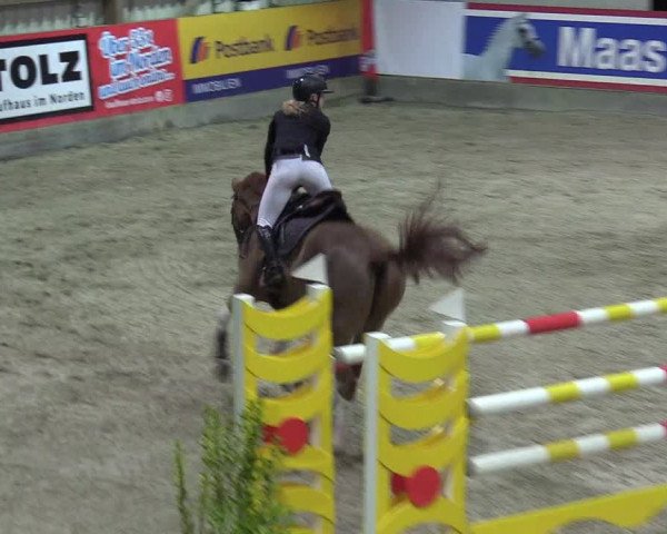 Reitturnier Negernbötel 2020, 3. Nordic Jumping event 2020/2021