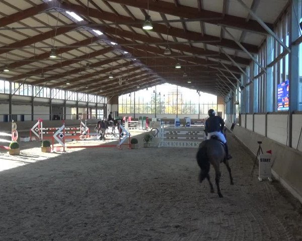 Reitturnier Langenfeld - Gut Langfort 2020