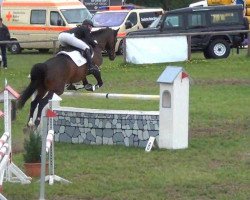 broodmare Tia Bonita 2 (Holsteiner, 2003, from Chalan)