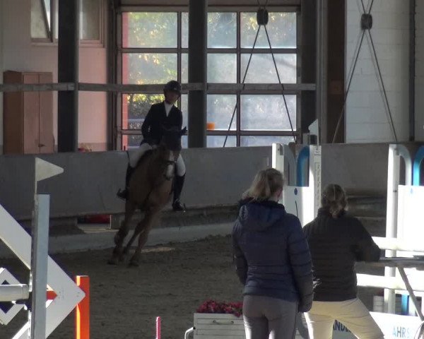 Reitturnier Langenfeld - Gut Langfort 2020