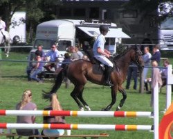 jumper Girondo U (Hanoverian, 2009, from Graf Grannus)