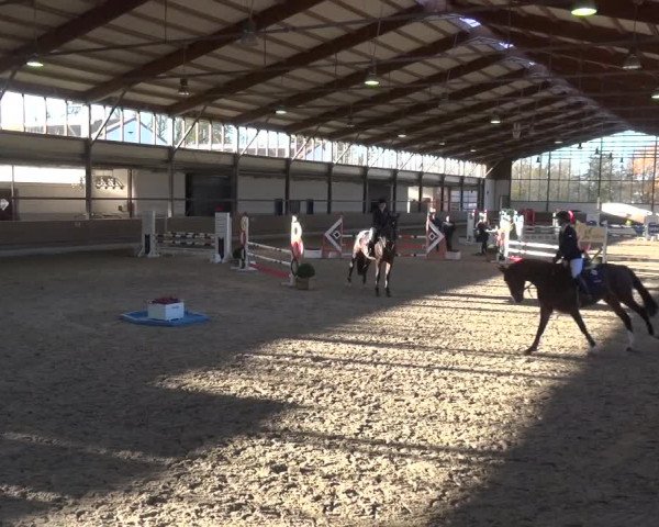 Reitturnier Langenfeld - Gut Langfort 2020