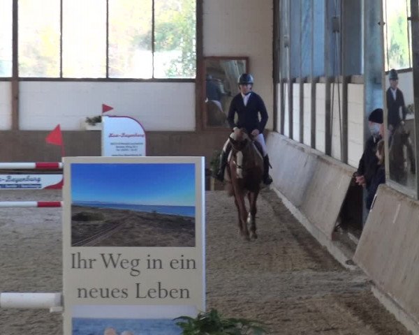 Reitturnier Langenfeld - Gut Langfort 2020