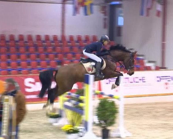 jumper La Fee 24 (Hanoverian, 2008, from Le Primeur)