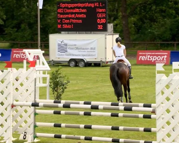 broodmare Donnalittchen 7 (Hanoverian, 2009, from Don Primus)