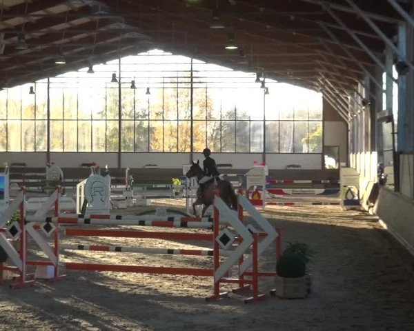 Reitturnier Langenfeld - Gut Langfort 2020