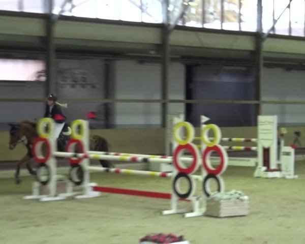 Reitturnier Langenfeld - Gut Langfort 2020