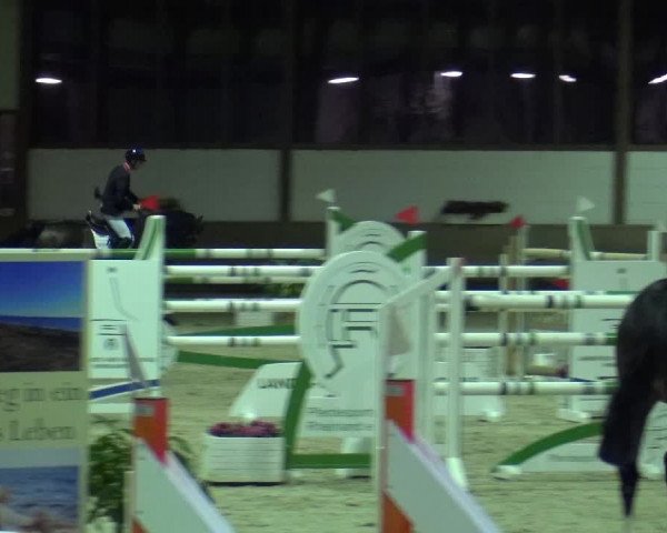 Reitturnier Langenfeld - Gut Langfort 2020