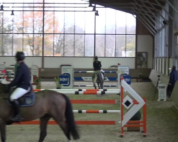 Reitturnier Langenfeld - Gut Langfort 2020