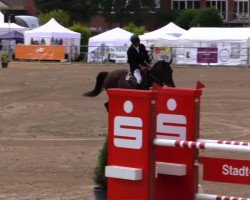 jumper Qaubautz (Holsteiner, 2009, from Quidado)