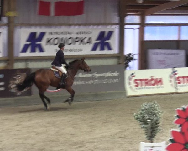 Reitturnier Negernbötel 2020, 4. Nordic Jumping event 2020/2021