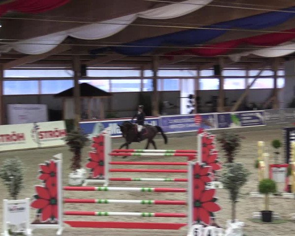Reitturnier Negernbötel 2020, 4. Nordic Jumping event 2020/2021