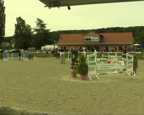 jumper Landina 36 (Westphalian, 2003, from Landilot)