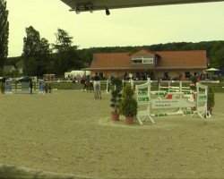 Springpferd Landina 36 (Westfale, 2003, von Landilot)