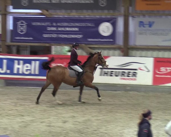 Reitturnier Negernbötel 2020, 4. Nordic Jumping event 2020/2021