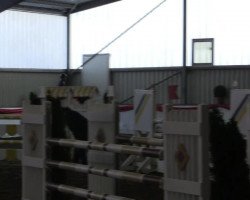 jumper Champ of Choco B (Westphalian, 2009, from Coronas 2)