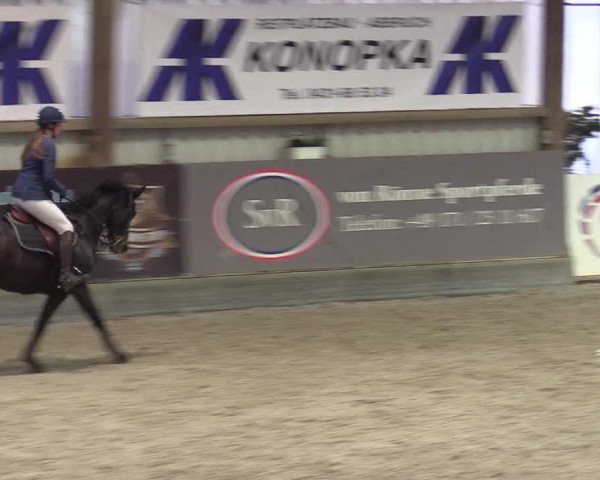Reitturnier Negernbötel 2020, 4. Nordic Jumping event 2020/2021