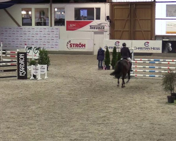 Reitturnier Negernbötel 2020, 4. Nordic Jumping event 2020/2021