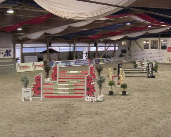 Reitturnier Negernbötel 2020, 4. Nordic Jumping event 2020/2021