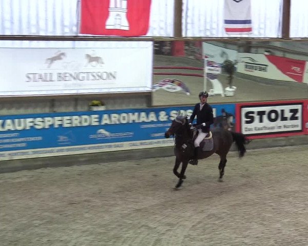 Reitturnier Negernbötel 2020, 4. Nordic Jumping event 2020/2021