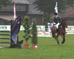 Dressurpferd Chapril (Deutsches Reitpony, 2008, von Fs Chiwago)