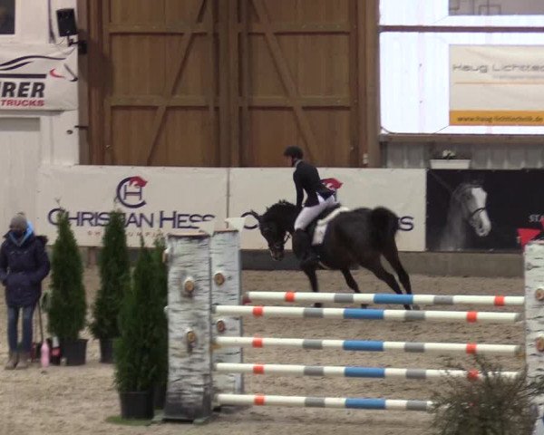 Reitturnier Negernbötel 2020, 4. Nordic Jumping event 2020/2021
