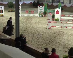 jumper Prodise's Thijmen (New Forest Pony, 2004, from Wielgerma's Nelson)