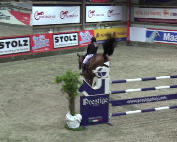 Reitturnier Negernbötel 2020, 4. Nordic Jumping event 2020/2021