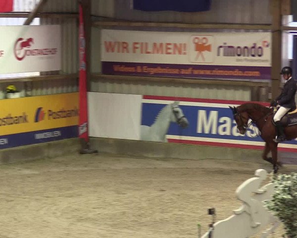 Reitturnier Negernbötel 2020, 4. Nordic Jumping event 2020/2021