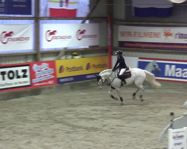 Reitturnier Negernbötel 2020, 4. Nordic Jumping event 2020/2021