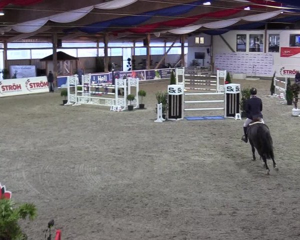 Reitturnier Negernbötel 2020, 4. Nordic Jumping event 2020/2021