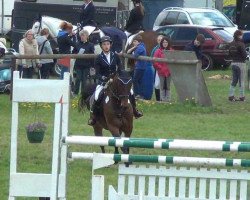 Springpferd Valencia 76 (Holsteiner, 2006, von Quinar)