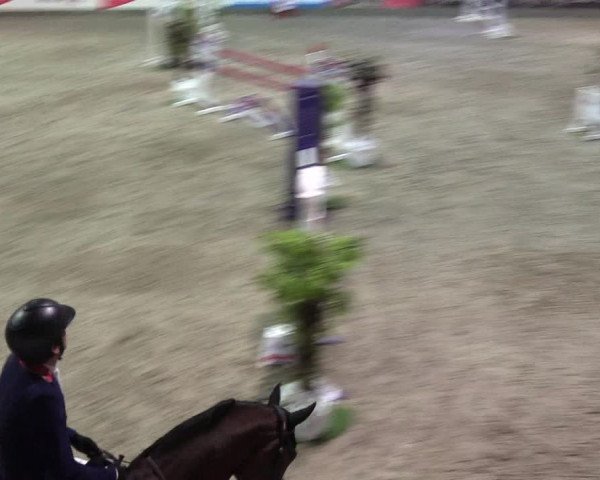 Reitturnier Negernbötel 2020, 4. Nordic Jumping event 2020/2021