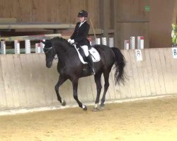 broodmare Donnarati H (Hanoverian, 2000, from Donnerhall)
